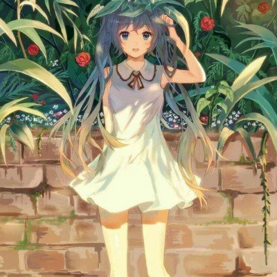 游客爬山如厕遇牦牛